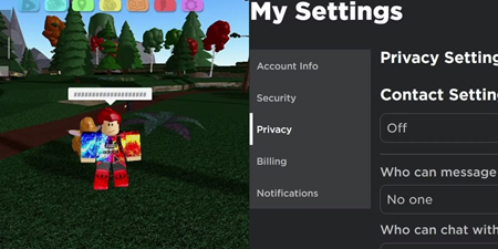 Roblox: Safety and Privacy Steps to follow
