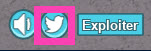 Click the Twitter bird icon located at the bottom-left screen corner.